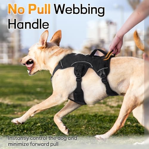 rabbitgoo Escape Proof Dog Harness - Image 4