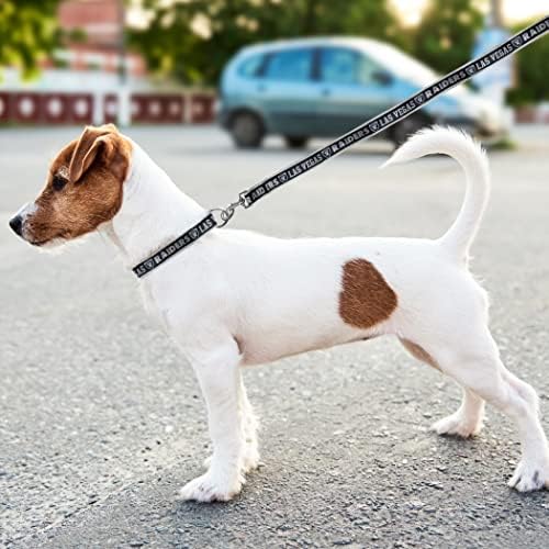 NFL PET Las Vegas Raiders Dog Leash, Small Football Team Leash - Image 6