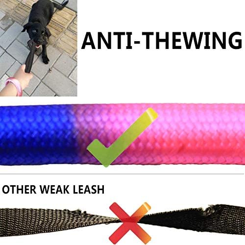 Heavy Duty 3 Dog Leash for Small Dogs No Tangle Detachable 360° Swivel Device - Image 7
