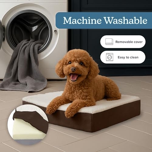 Orthopedic Dog Bed - Image 3