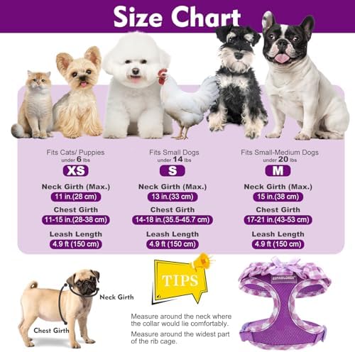EXPAWLORER Step-in Dog Harness Small Sized and Leash Set - Image 4
