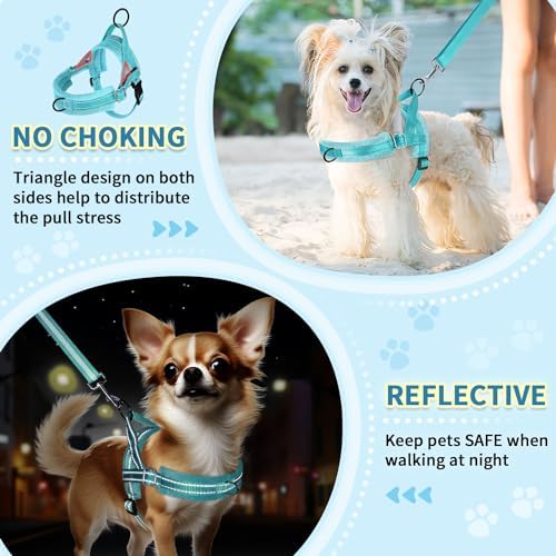 SlowTon No Pull Small Dog Harness and Leash Set - Image 3
