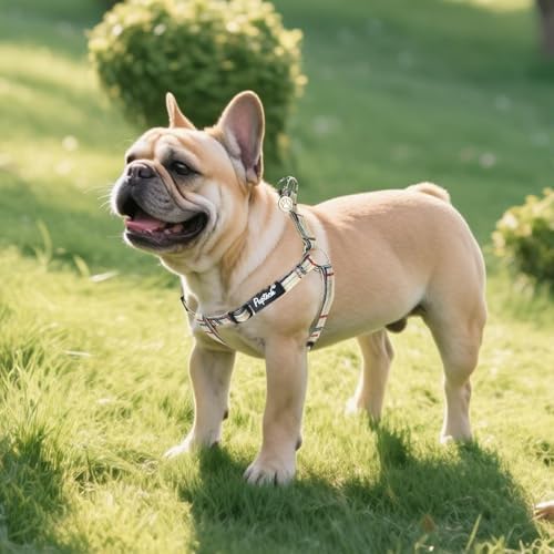 PUPTECK No Pull Dog Harness Small Sized Step-in Adjustable Puppy Vest - Image 6