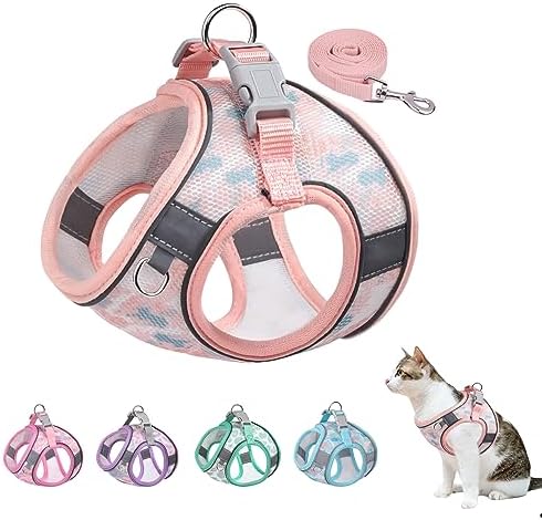 Step in Mesh Dog Harness and Leash Set by BTDCFY