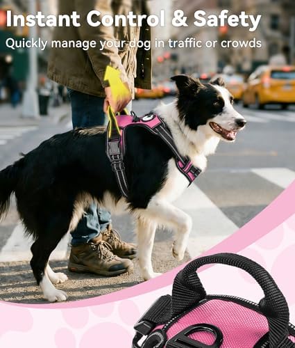 Joytale No Pull Dog Harness for Large Dogs, Front Clip - Image 3