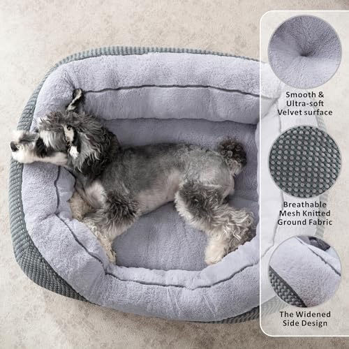 INVENHO Small Dog Bed for Small Dogs, Cat Beds for Indoor Cats Washable - Image 2