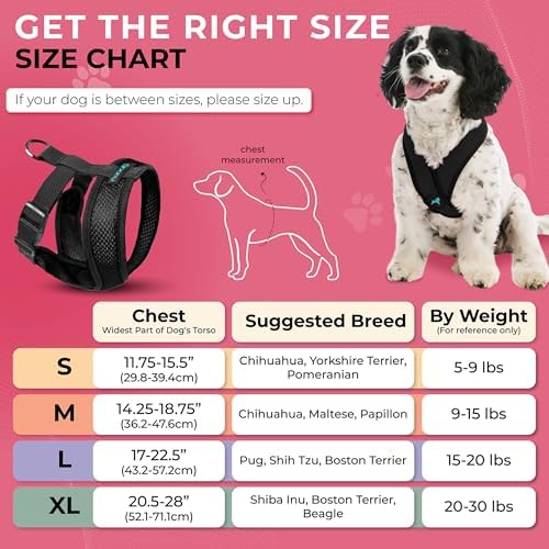 Gooby Black X-Large Polyester Comfort X Harness - Image 4