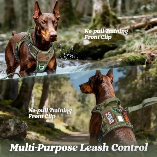 rabbitgoo Tactical Dog Harness for Large Dogs, No Pull Service Pet Vest - Image 3