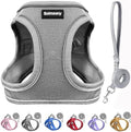 Solmoony Sparkly XXS Dog Harness and Leash Set, Step in Soft Light Puppy Vest by SOLMOONY