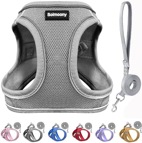 Solmoony Sparkly XXS Dog Harness and Leash Set, Step in Soft Light Puppy Vest by SOLMOONY