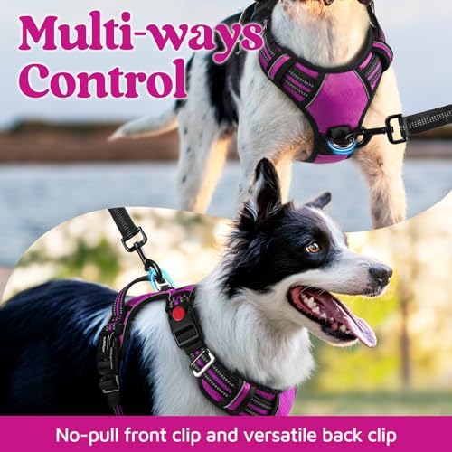 rabbitgoo Dog Harness for Large, No Pull 3 Buckles Easy On & Off - Image 3