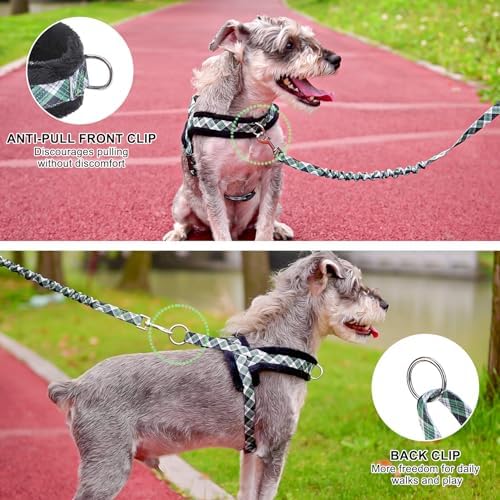 BEAUTYZOO No Pull Small Dog Harness and Leash Set, Soft Puppy Vest Harness - Image 3