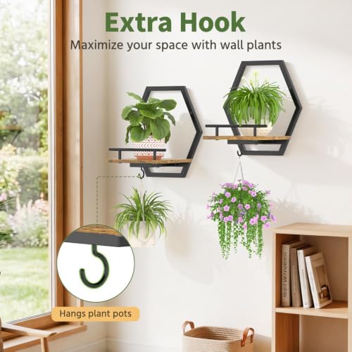LASZOLA Plant Picture Frame Holder Shelf Wall Window Indoor - Image 4