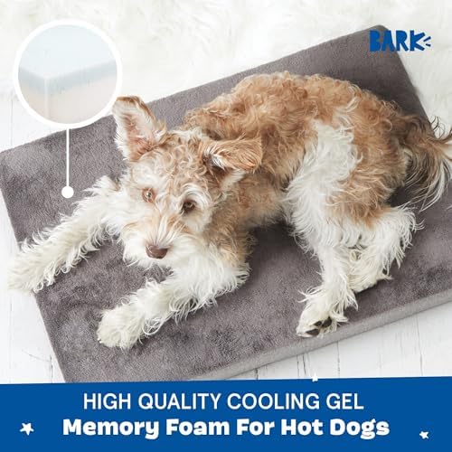 BarkBox Orthopedic Dog Bed - Image 3