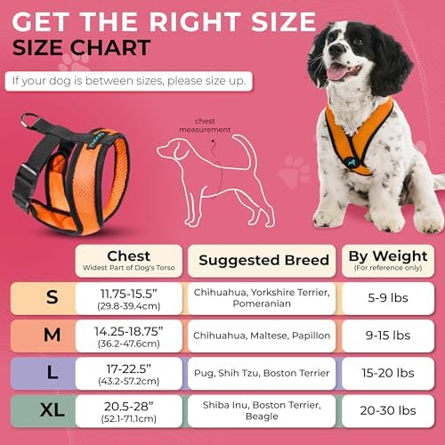 Gooby Orange X-Large Comfort X Head in Harness - Image 3