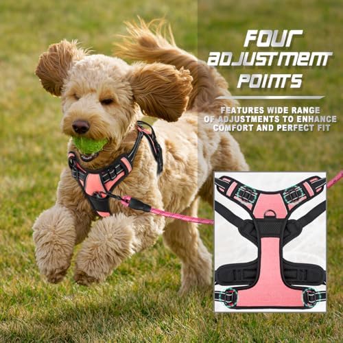 BARKBAY Dog Harness No Pull for Small Sized Dog Front Back Clips, Dog Vest - Image 6