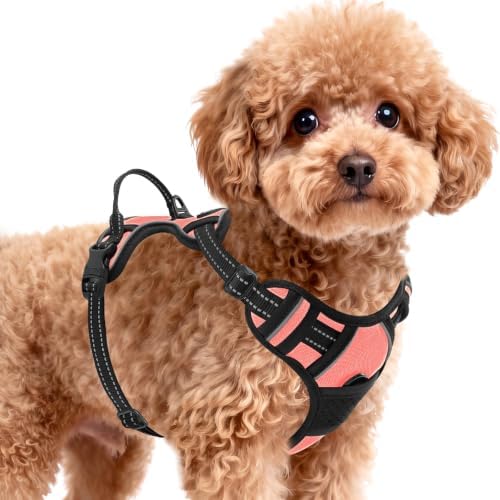 BARKBAY Dog Harness for Small Sized Dog No Pull 2 Leash Clips Dog Vest by BARKBAY