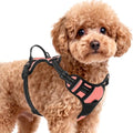 BARKBAY Dog Harness for Small Sized Dog No Pull 2 Leash Clips Dog Vest by BARKBAY