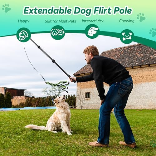 Flirt Pole for Dogs, Interactive Toys Tug-of-war for Pet, Durable Teaser Wand - Image 4