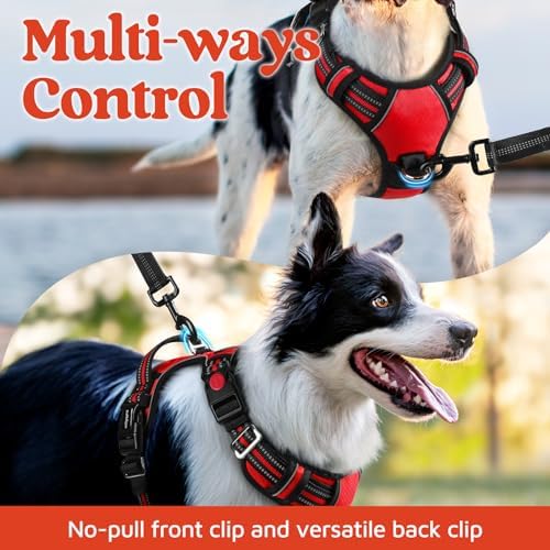 rabbitgoo Dog Harness Small Sized, No Pull 3 Buckles Easy On & Off - Image 3