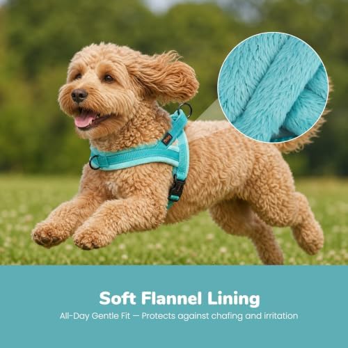 Didog No Pull Dog Harness for Small Dogs, Soft Flannel Padded - Image 2