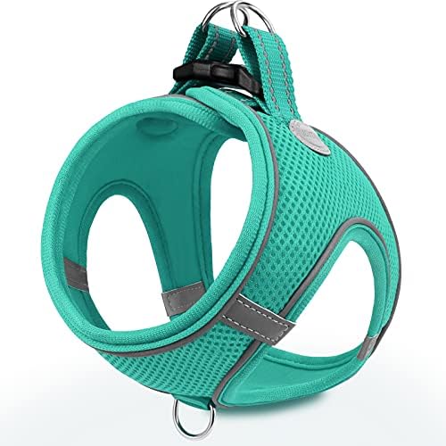 Joytale Step-in Dog Harness, Soft Breathable Mesh, Teal L by Joytale