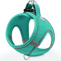 Joytale Step-in Dog Harness, Soft Breathable Mesh, Teal L by Joytale