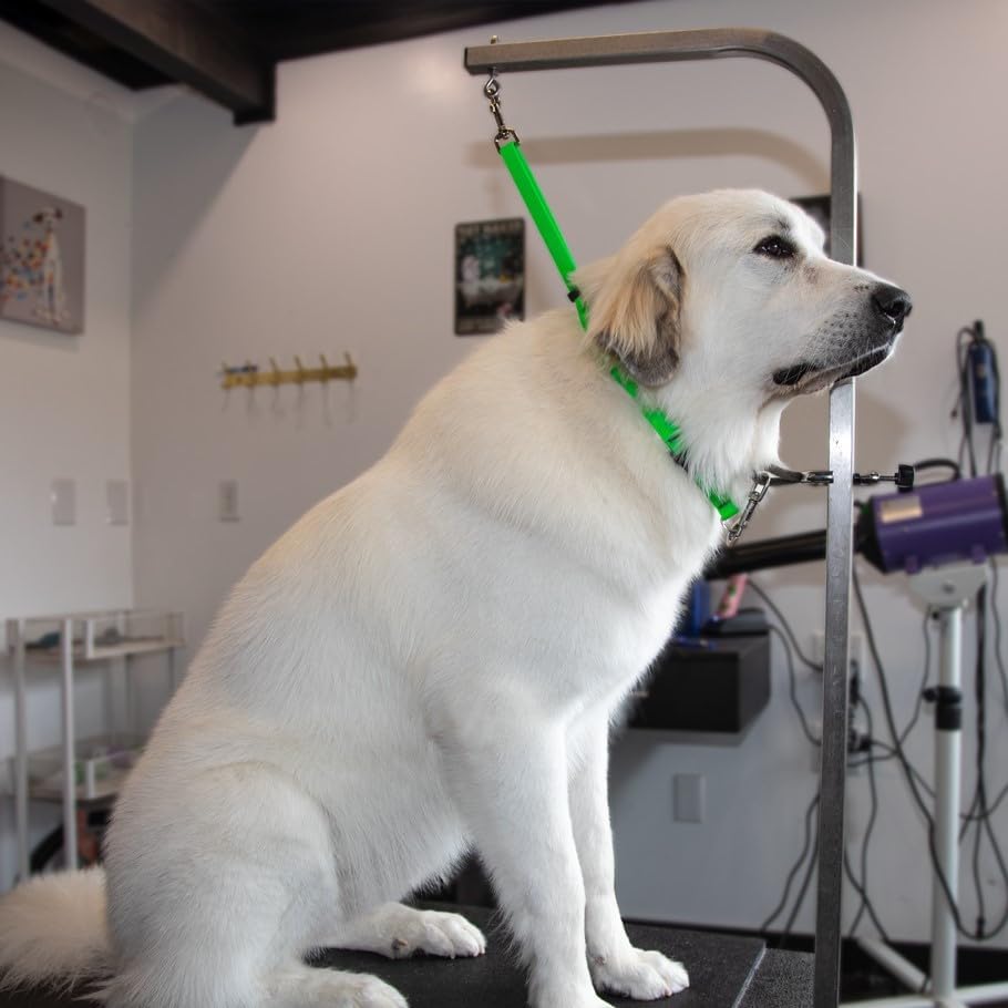 LupinePet Pro Grooming Loop for Dogs, Waterproof, Neon Green, 3/4-inch Wide - Image 4