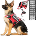 Service Dog Vest Harness and Leash Set+10 Patches, No Pull&Adjustable by MOOGROUPETSFRIEND