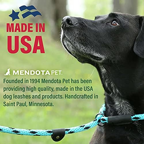 Mendota Pet Slip Leash - Image 4