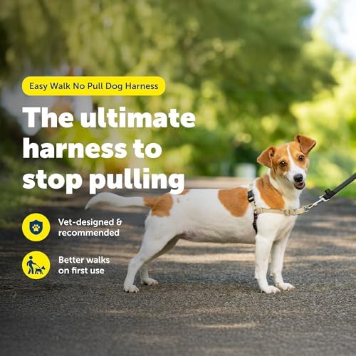 PetSafe Easy Walk Harness, No Pull Dog Harness - Image 2