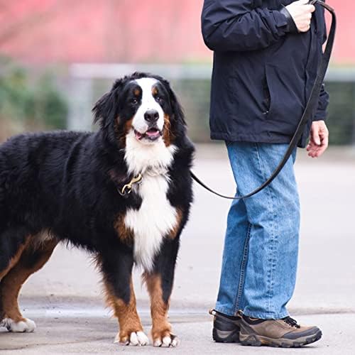 Leather Dog Leash 6ft x 3/4 inch, Strong Heavy Duty Genuine Leather Braided Dog - Image 5