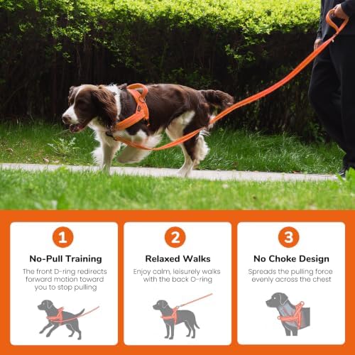 Didog No Pull Dog Harness for Small Dogs, Soft Flannel Padded - Image 4