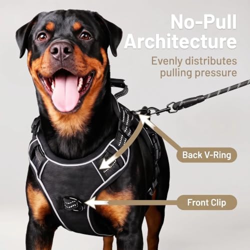 Dog Harness and Leash Set for Small Dogs, No Pull Tactical Dog Harness - Image 3
