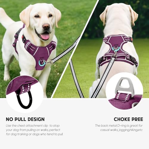 Timos Dog Harness Small Sized, Neck Quick Release - Image 5