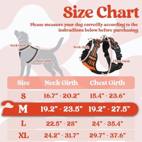 rabbitgoo Dog Harness Medium Sized, Updated Easy On & Off - Image 2