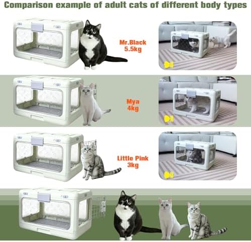 Collapsible Hard Cat Carrier Small Dog Cat Travel Crate Pet Clear - Image 3