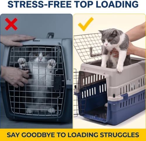 Hard-Sided Pet Carrier for Cats and Small Dogs, Portable Plastic Crate for Vet - Image 2