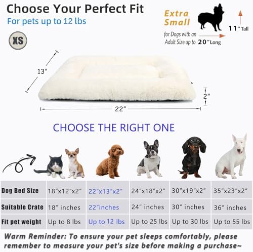 Crate Beds for Small Dogs Ultra Soft Cat Bed for Indoor Cats Washable & - Image 4