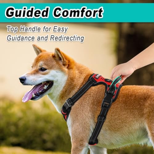 BARKBAY Dog Harness for Large Dog No Pull 2 Leash Clips Dog Vest - Image 4