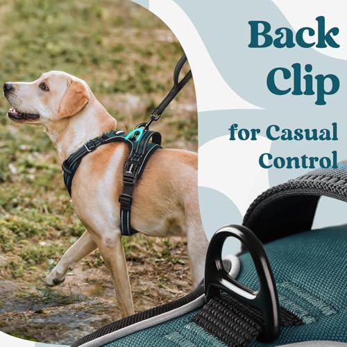 rabbitgoo Dog Harness Small Sized, Updated Easy On & Off - Image 6