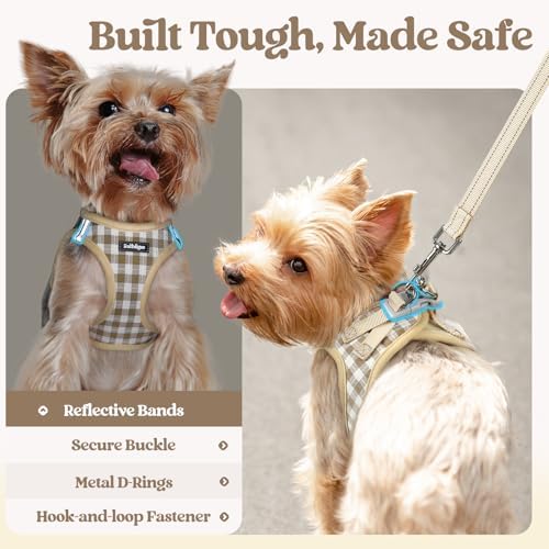 rabbitgoo Dog Harness Small Sized and Leash Set, Step-in Puppy Pet Vest - Image 5