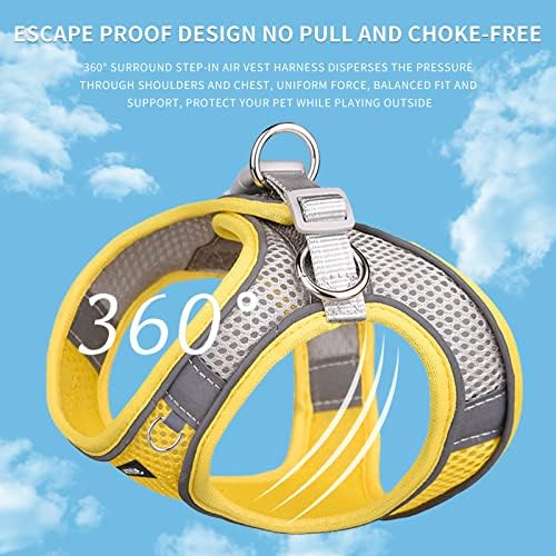 AIITLE Small Dog Harness and Leash Set, Step-in Puppy Pet Vest - Image 3