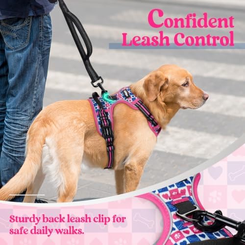 rabbitgoo Dog Harness, No Pull for Large Dogs - Image 6