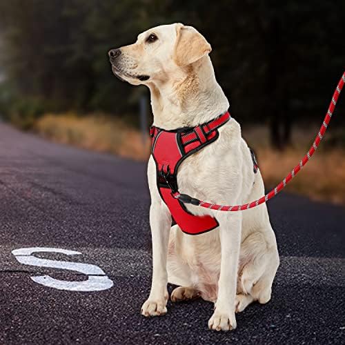 IVY&LANE No Pull Dog Harness for Small Dogs, Reflective Dog Vest Harness - Image 6