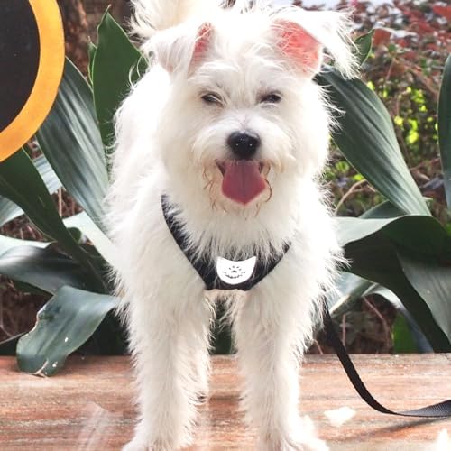 Hypeety Dog Vest Harness No-Pull Reflective Step-in Air Mesh Vest - Image 6