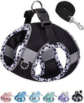 Petank Step in Dog Harness No Pull and Leash by PetankCareforEveryPaw