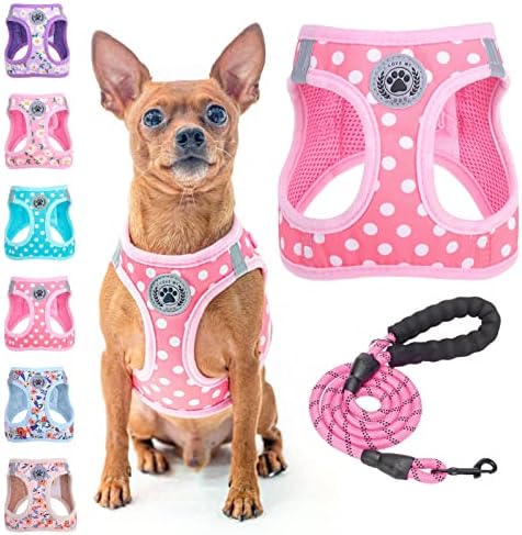 BEAUTYZOO Small Dog Harness and Leash Set, No Pull Puppy Pet Vest- Polka by BEAUTYZOO