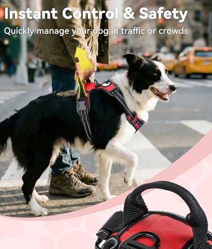 Joytale No Pull Dog Harness for Extra Large Dogs, Front Clip - Image 3