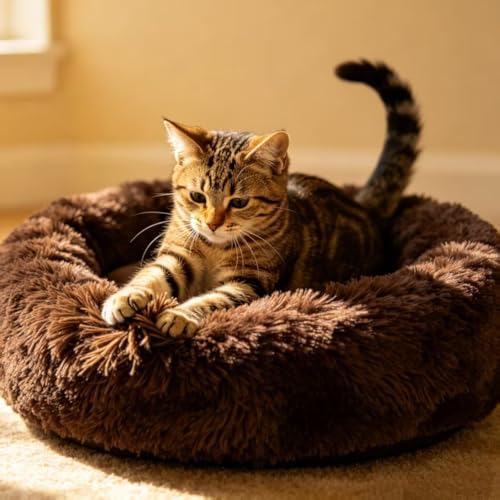 Cat Beds for Indoor Cats - Image 5